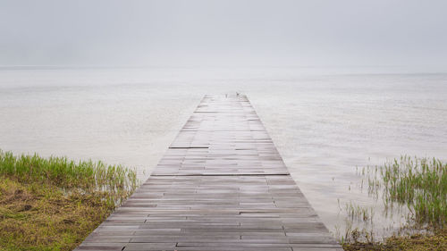 Foggy and calm scene of solitary birds at the end of a wooden jetty in rain and mist.