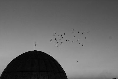 Low angle view of bird flying against sky