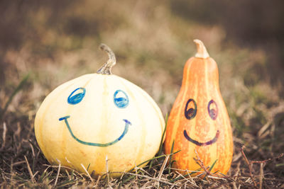 Close-up of pumpkin on field