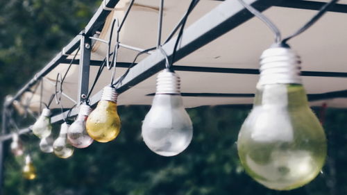 Low angle view of light bulbs hanging on glass