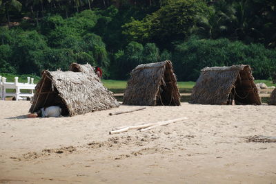 Stack of logs on field in forest