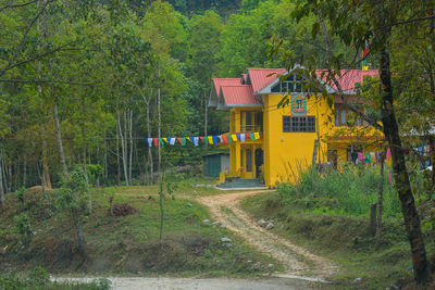 House amidst trees and plants in forest