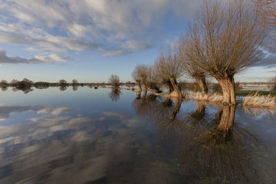 Scenic view of lake against sky