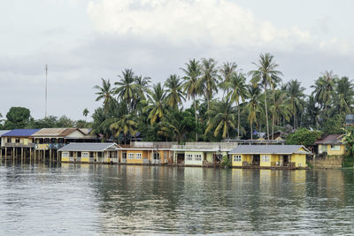 Scenic view of palm trees by building against sky