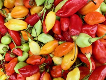 Full frame shot of bell peppers