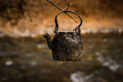 Close-up of hanging outdoors