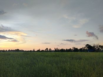 Scenic view of field against sky during sunset