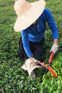 Farmer harvesting tea crops in field