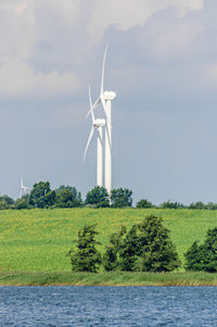 environmental conservation