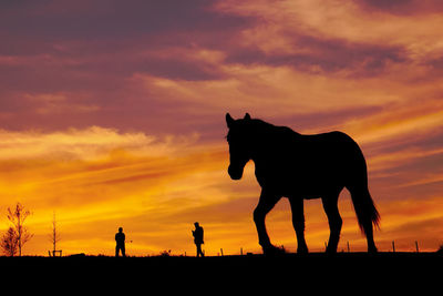 Silhouette horse standing on field against orange sky