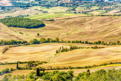 Scenic view of agricultural field