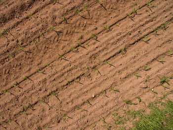 Full frame shot of cracked field