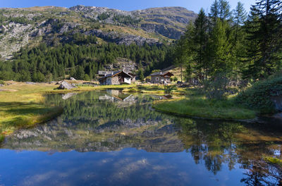 Scenic view of lake in forest