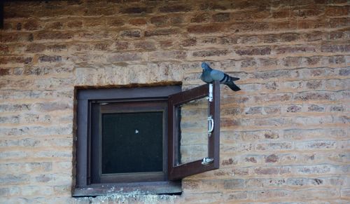 Window on brick wall