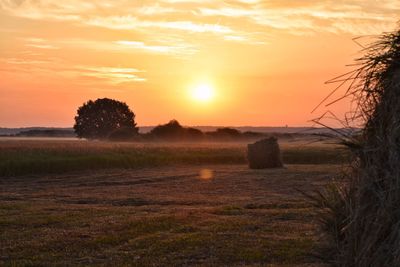 Scenic view of field against sky during sunset