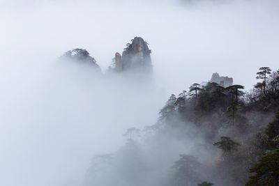 View of trees on mountain against sky