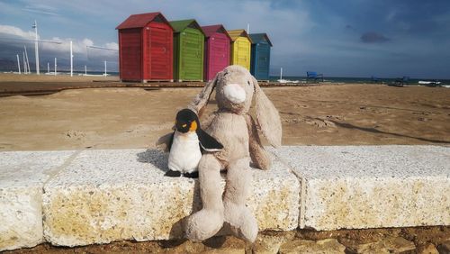 Monkey perching on beach against sky