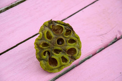 High angle view of snake on table