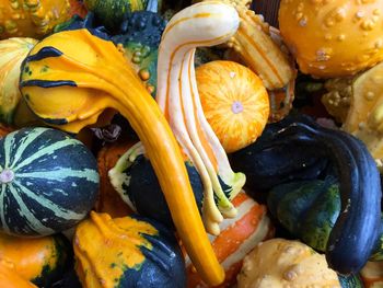 Full frame shot of pumpkins and gourds at farmers market