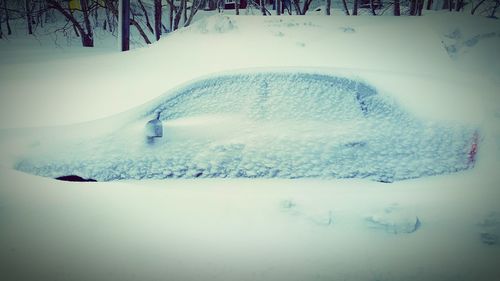 People standing on snow covered landscape