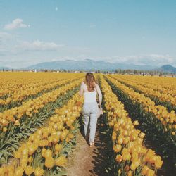 Rear view of woman walking on field