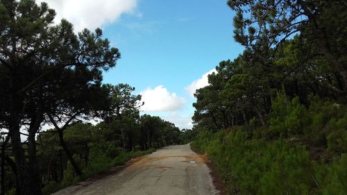 Empty road amidst trees against sky