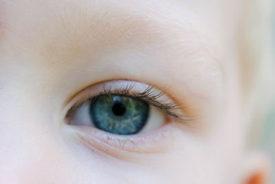 Cropped image of baby eye