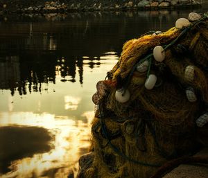 Close-up of fishing net in water