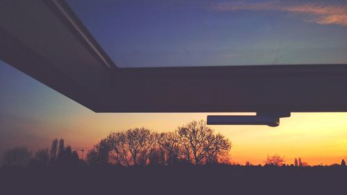 Silhouette of trees at sunset