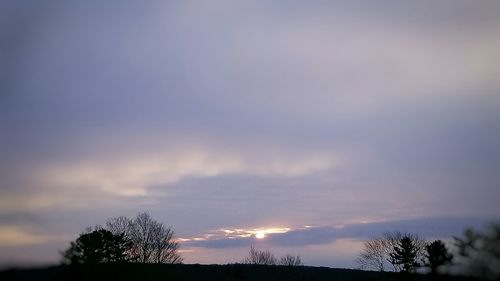 Silhouette trees against sky during sunset