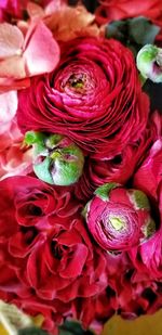 Full frame shot of red roses