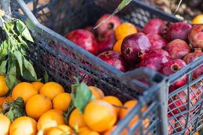 Close-up of fruits for sale at market