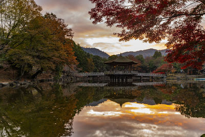 Nara park nara park reflection of the autumn leaves seasonal ukimido