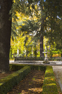 Footpath in park