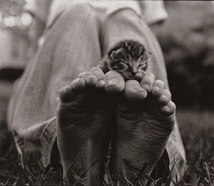 Close-up of cat sleeping on man