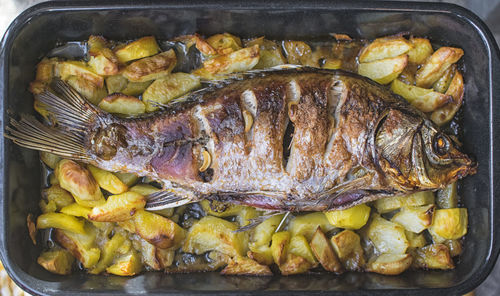 Close-up of fish in bowl