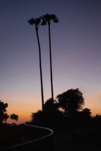 Silhouette palm trees against sky during sunset