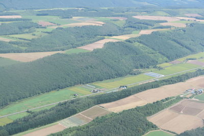 High angle view of agricultural field