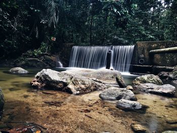 Scenic view of waterfall in forest
