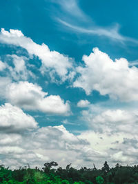 Low angle view of trees against blue sky