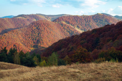Mountains in the fall season, paltinis area, sibiu county, romania