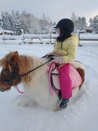 View of a horse on snow covered field