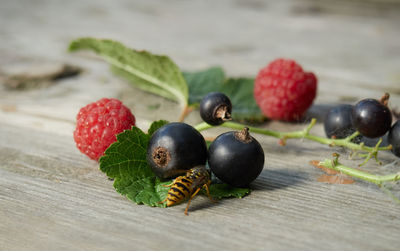 Close-up of fruits on table