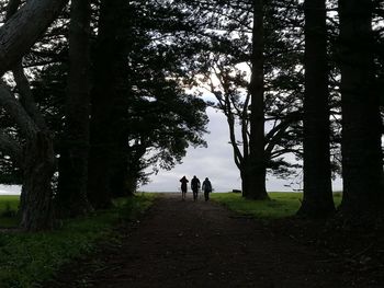 Rear view of people walking in forest