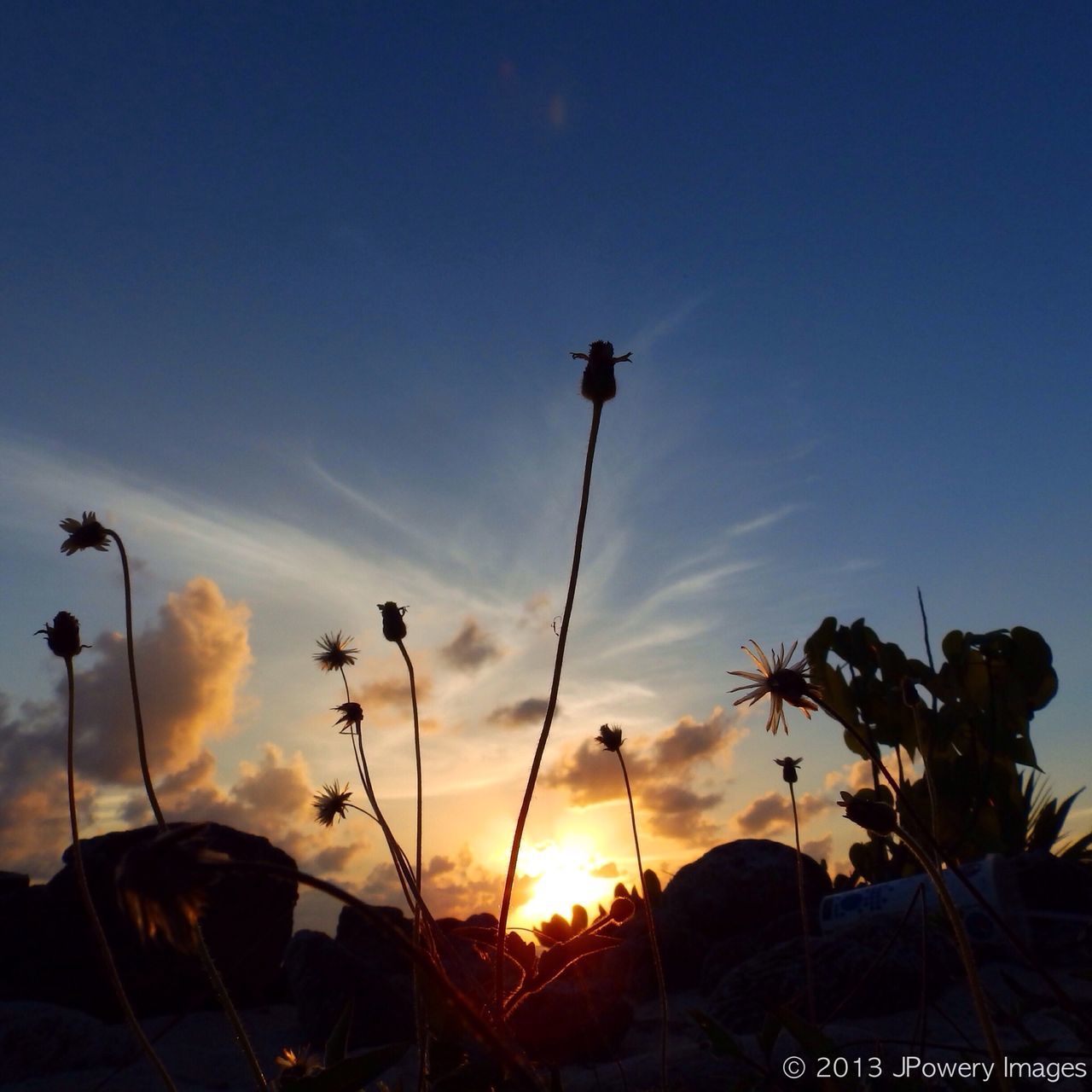 LOW ANGLE VIEW OF SUNSET