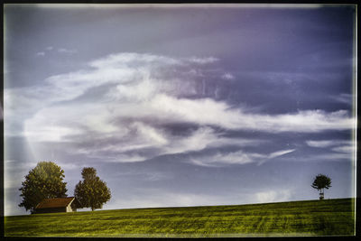 Trees on grassy landscape against cloudy sky