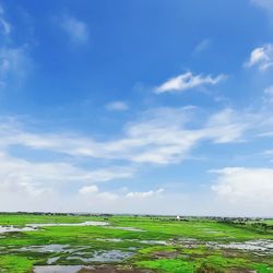 Scenic view of agricultural field against sky