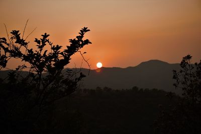 Silhouette trees against sky during sunset