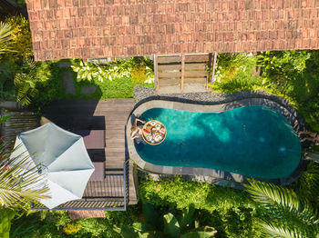 High angle view of plants in yard