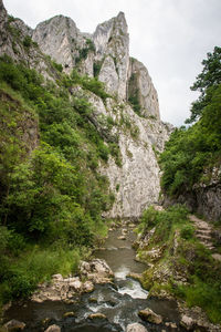 Scenic view of waterfall